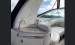 Sea Ray 275-kuva-8
